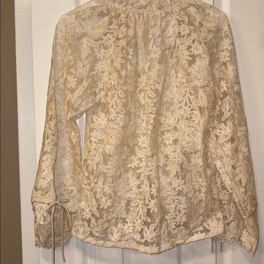 Elegant Cream embroidered Lace sheer Blouse - Picture 6 of 8